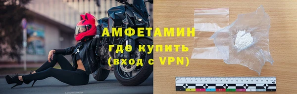 прущие грибы Белокуриха