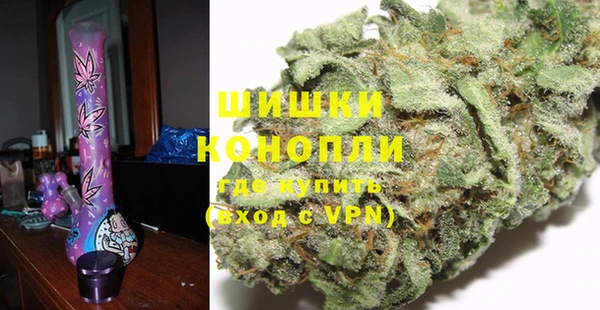 стаф Балахна