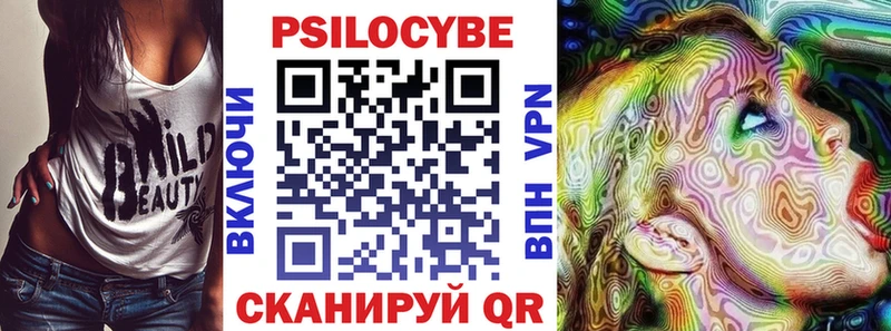 Галлюциногенные грибы Psilocybine cubensis  Красный Холм 